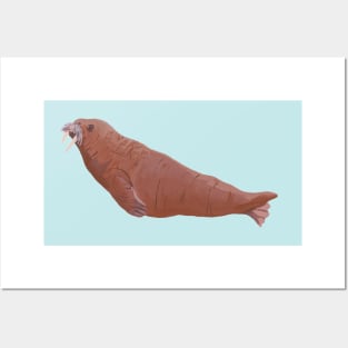 Walrus Posters and Art